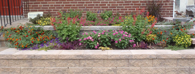 Floral Maintenance | JBP Landscape Contractors